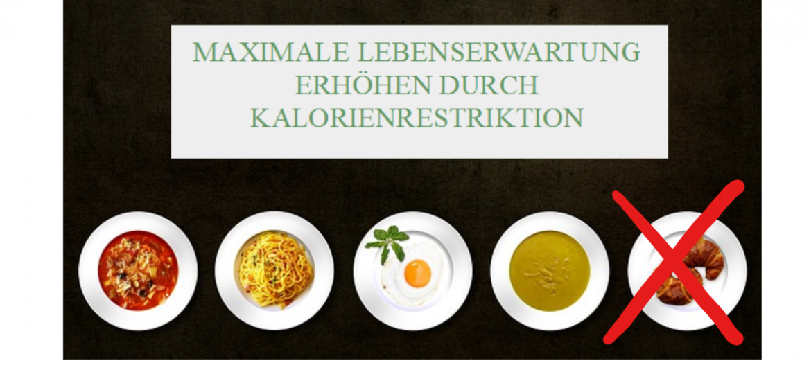 kalorienrestriktion